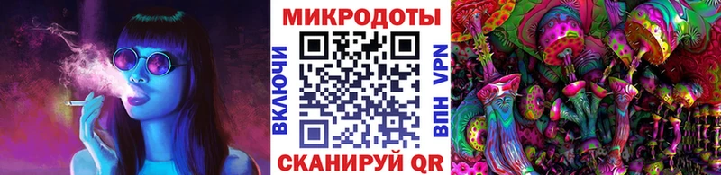 Купить где  Асино  Псилоцибиновые грибы Psilocybine cubensis 
